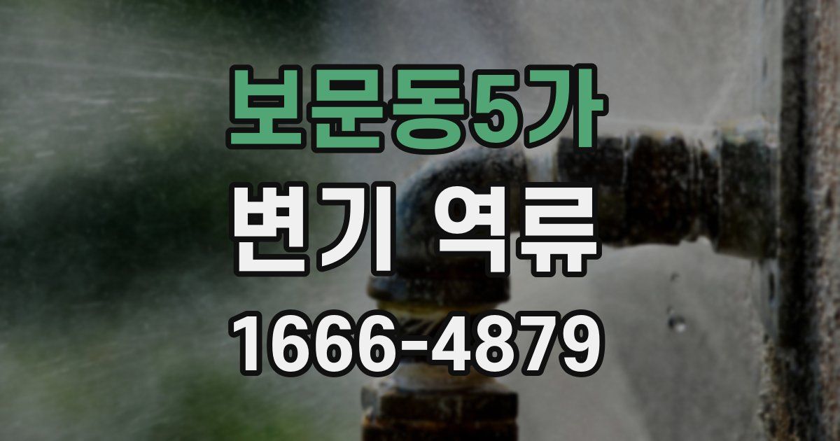 보문동5가 변기 역류