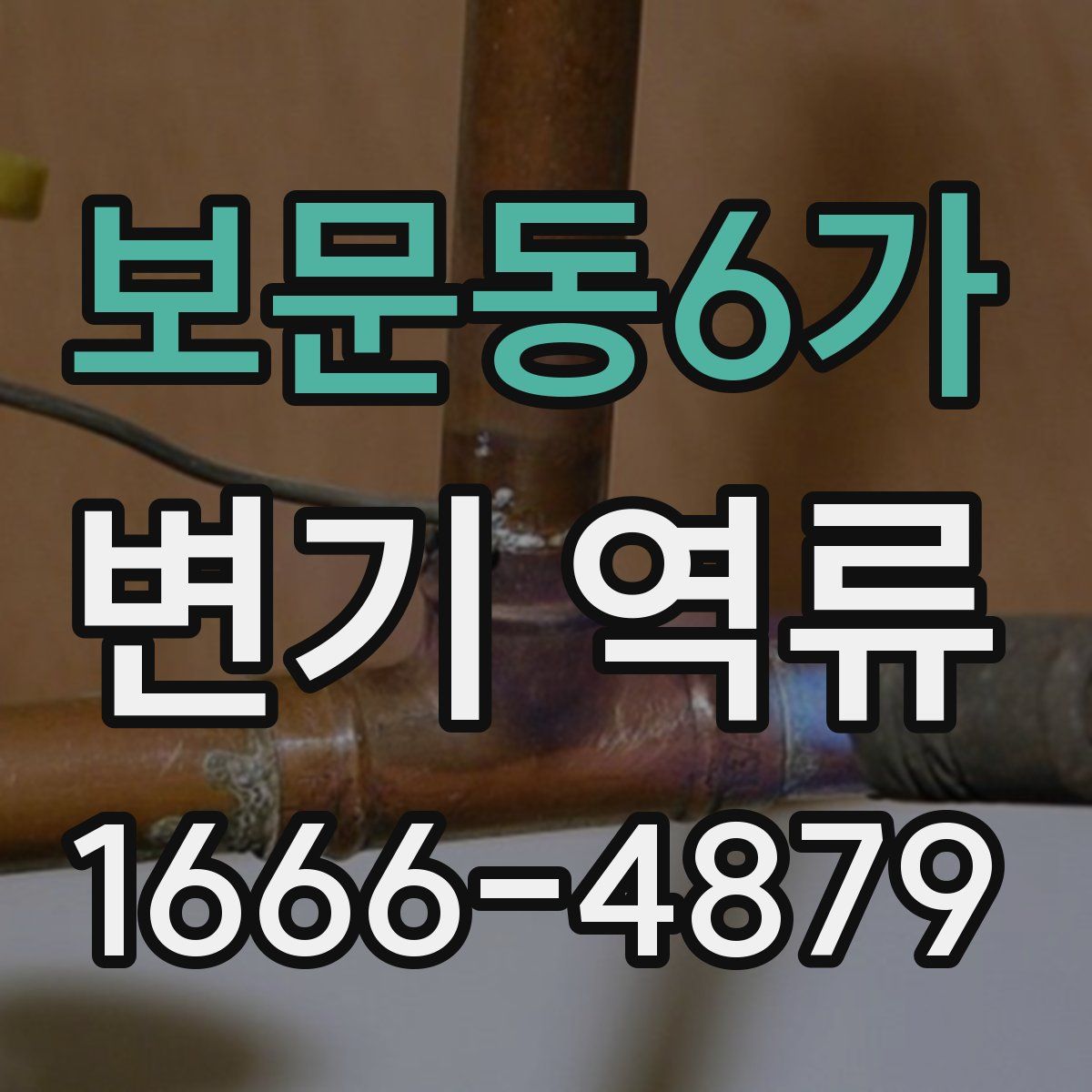 보문동6가 변기 역류