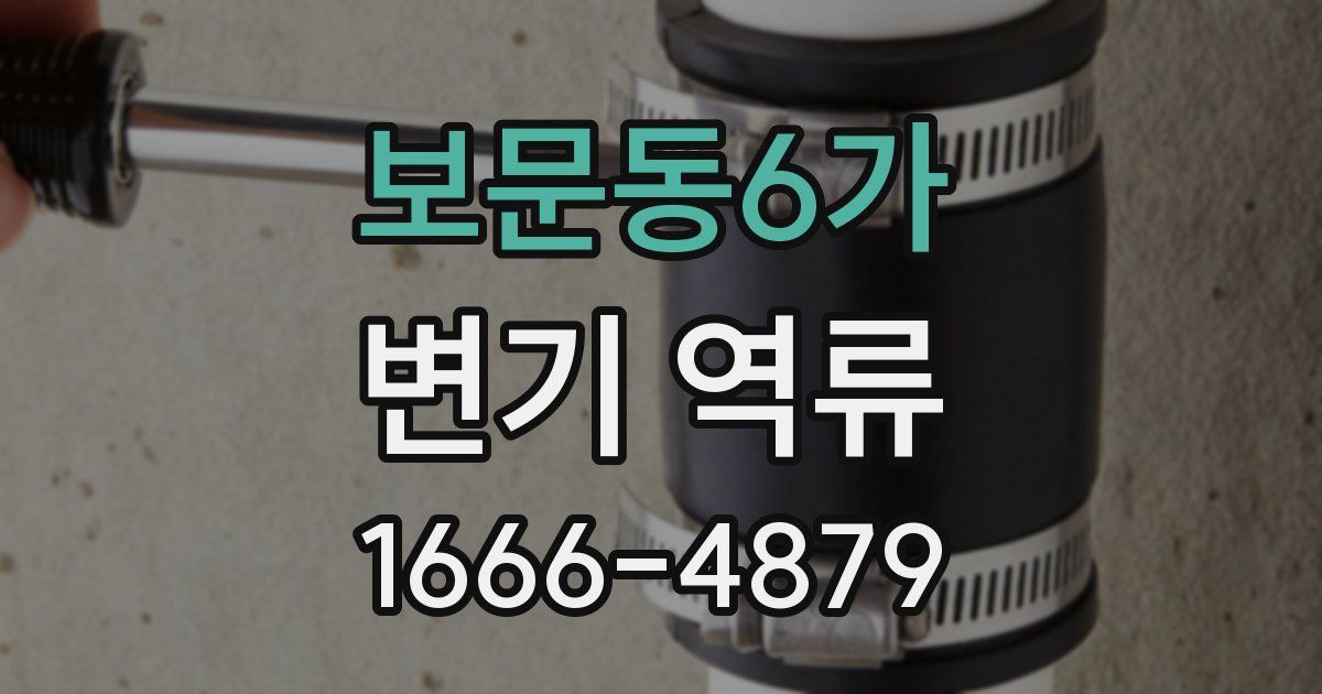 보문동6가 변기 역류