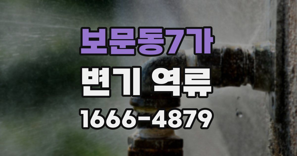 보문동7가 변기 역류