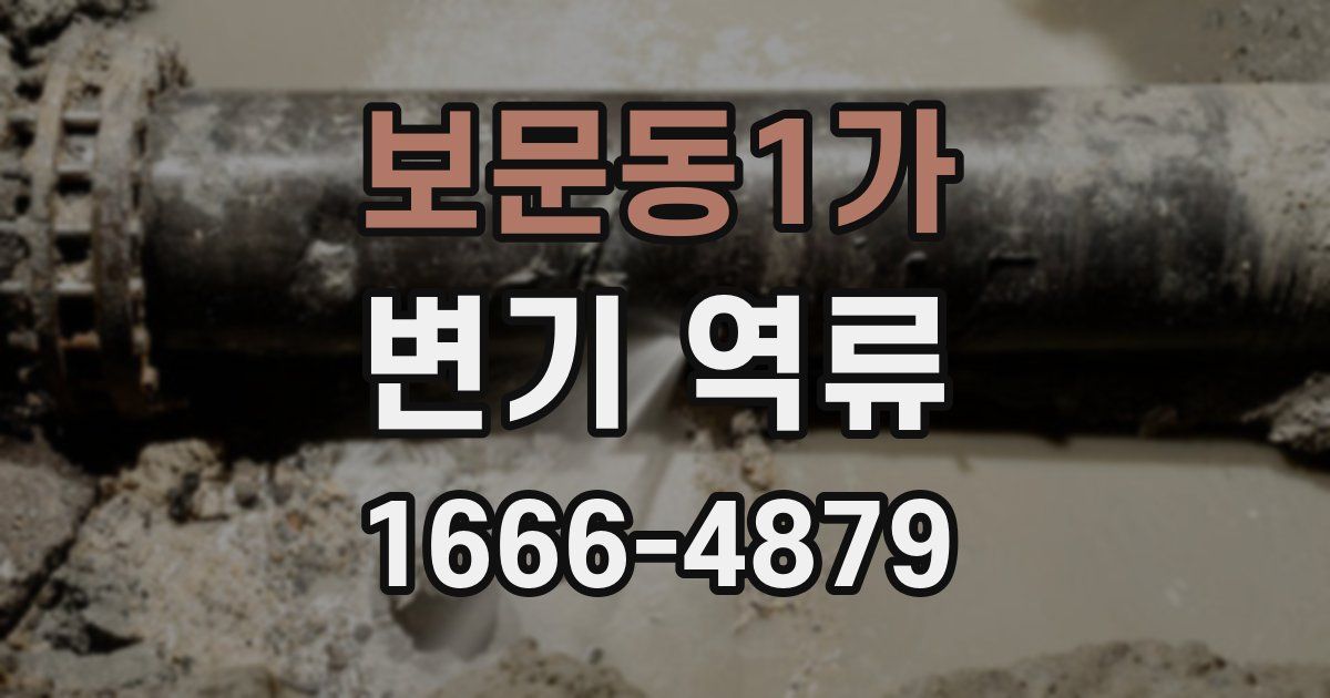 보문동1가 변기 역류