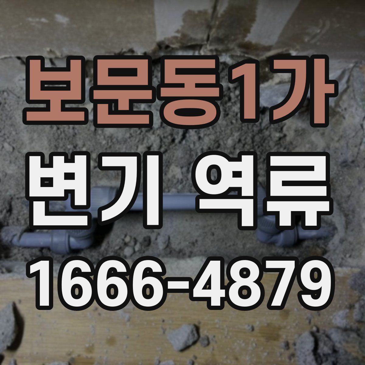 보문동1가 변기 역류