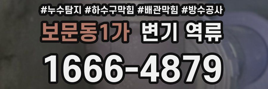 보문동1가 변기 역류