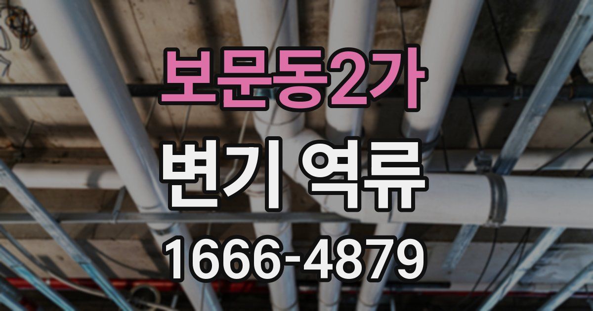 보문동2가 변기 역류