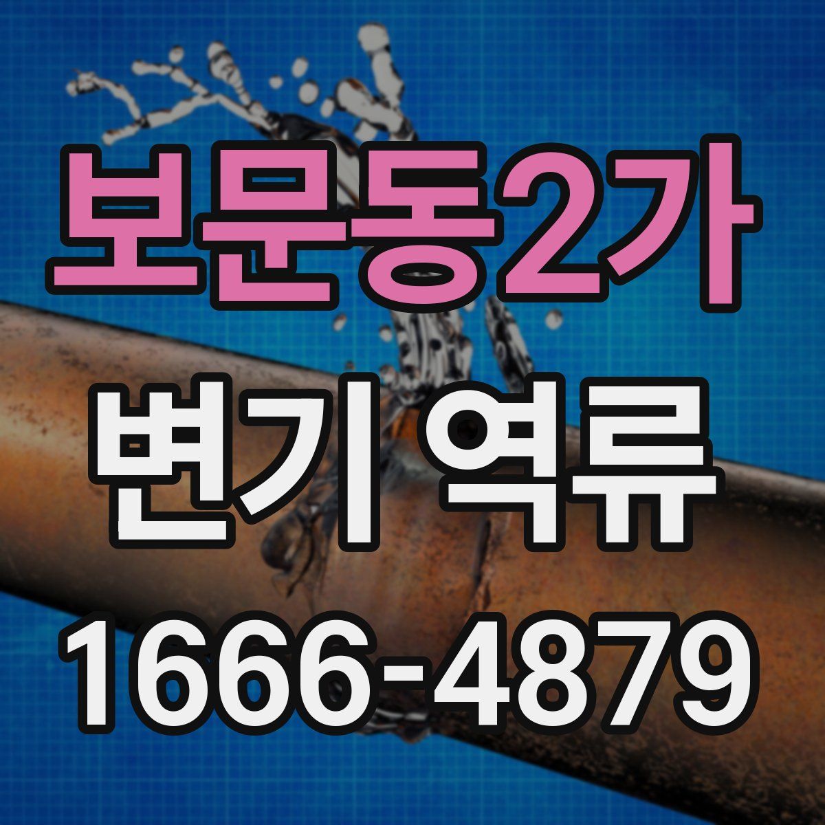 보문동2가 변기 역류