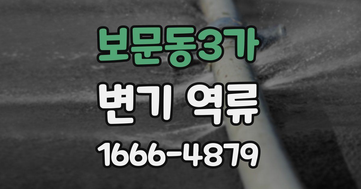 보문동3가 변기 역류