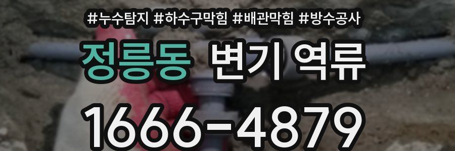 정릉동 변기 역류