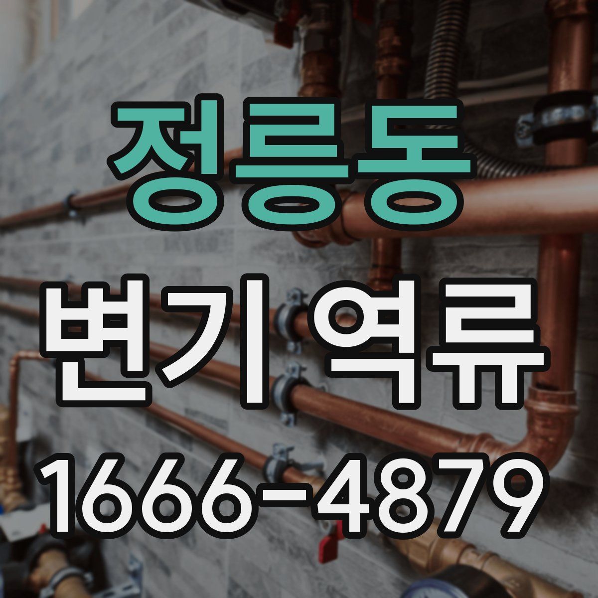 정릉동 변기 역류