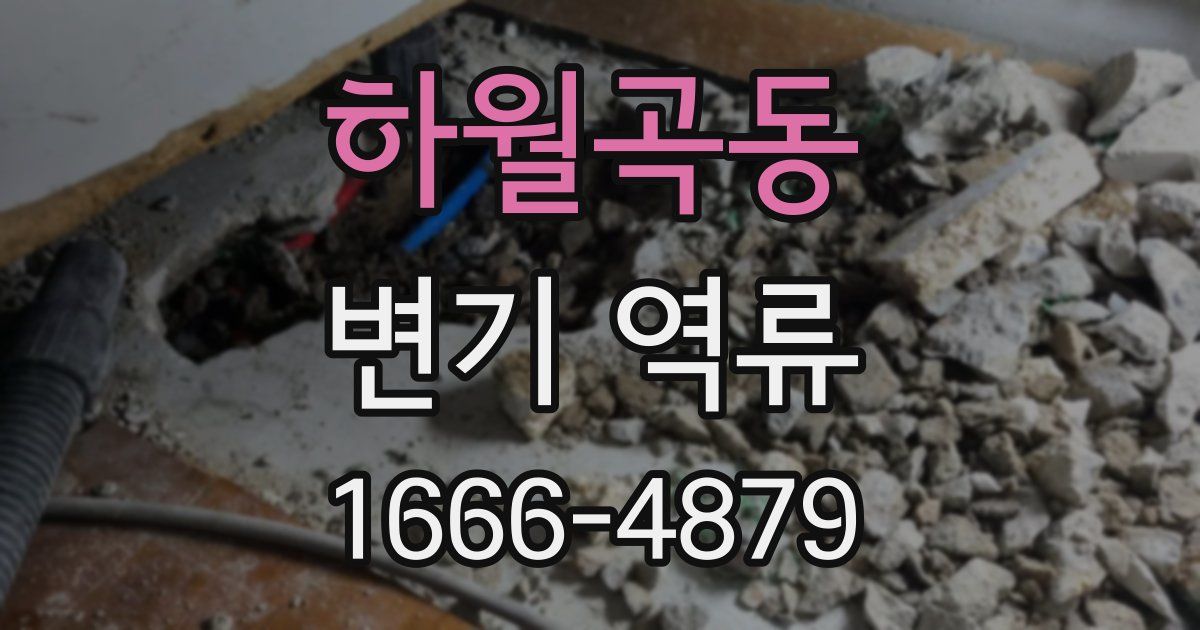 하월곡동 변기 역류