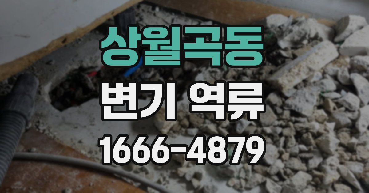 상월곡동 변기 역류