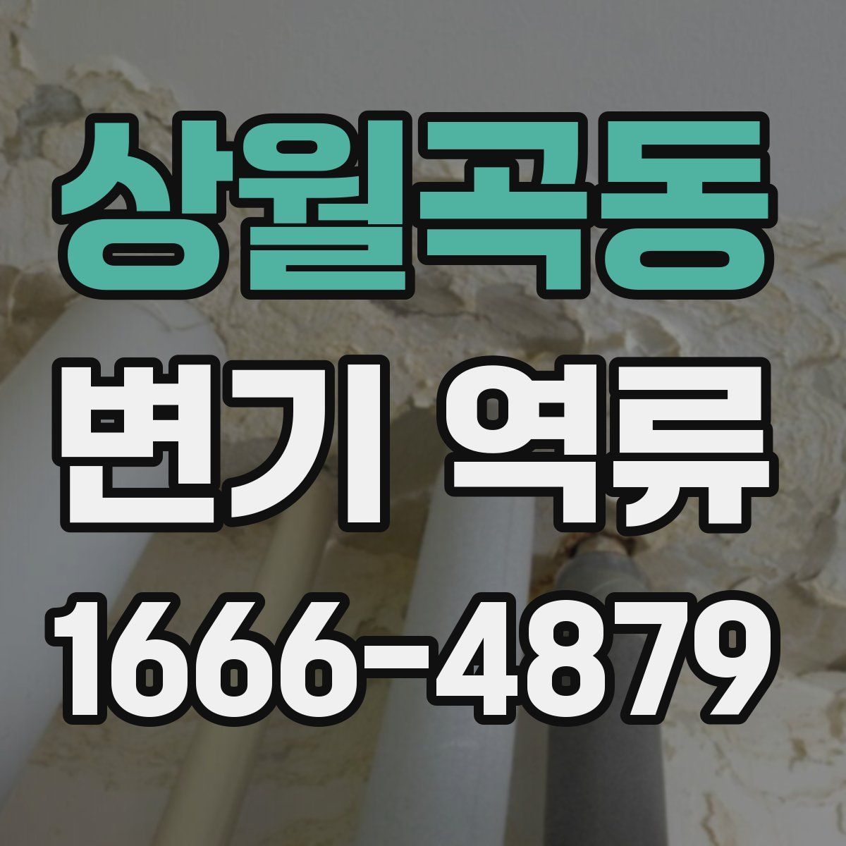 상월곡동 변기 역류
