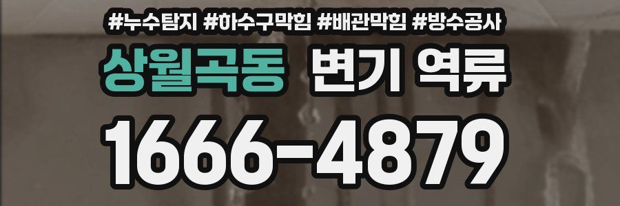 상월곡동 변기 역류