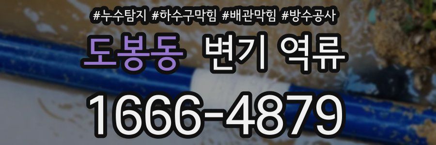 도봉동 변기 역류