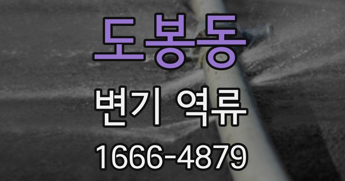 도봉동 변기 역류