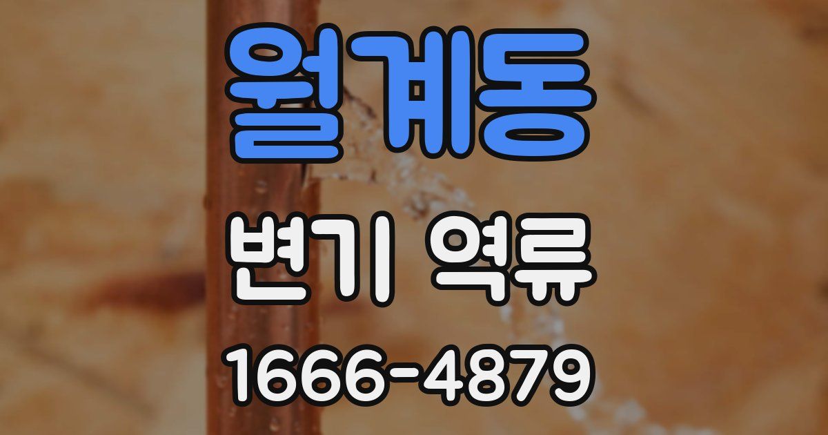 월계동 변기 역류