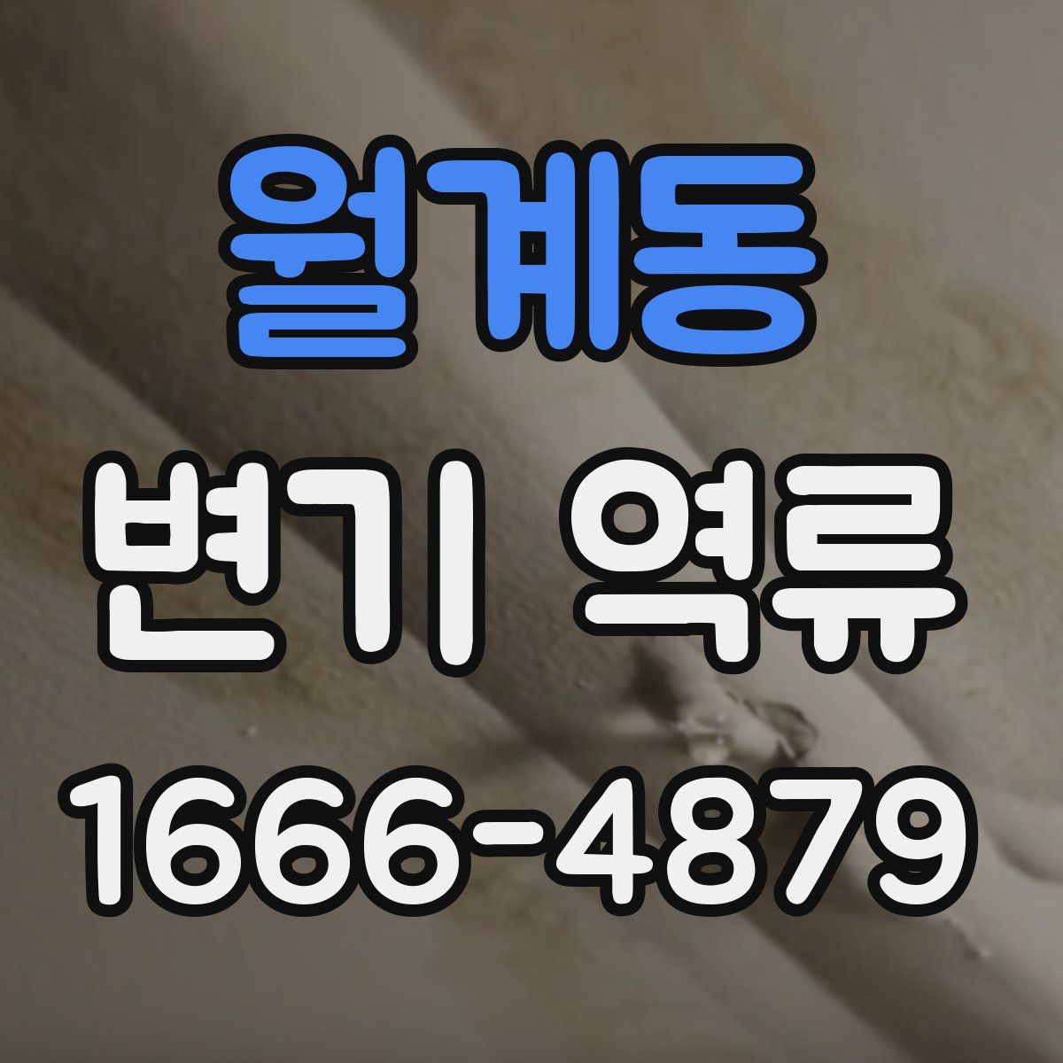 월계동 변기 역류
