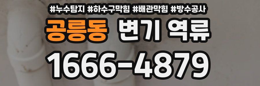 공릉동 변기 역류