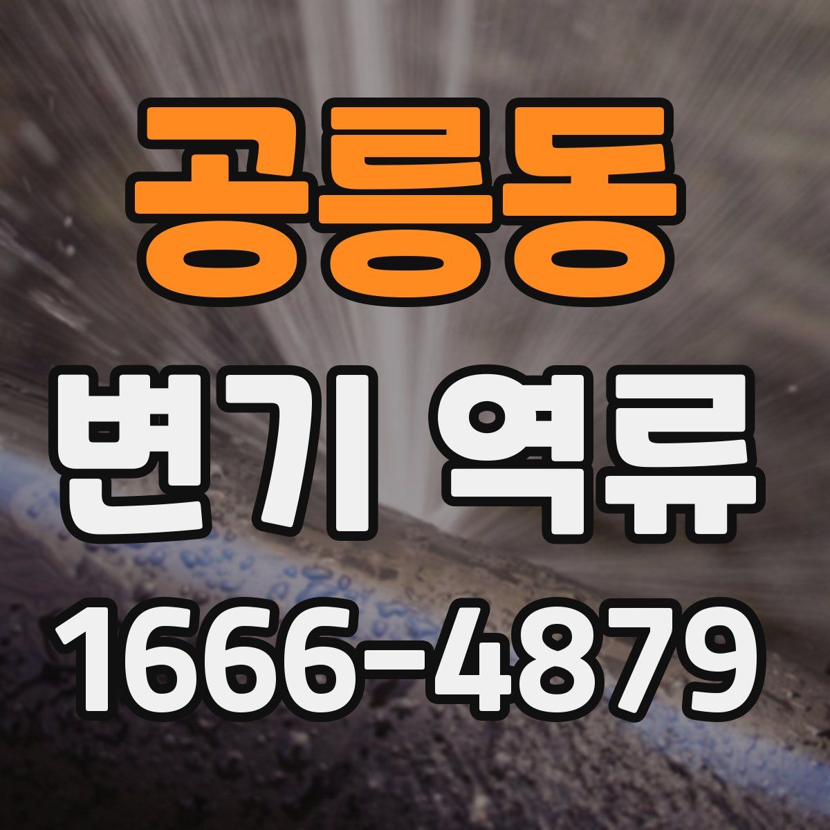 공릉동 변기 역류