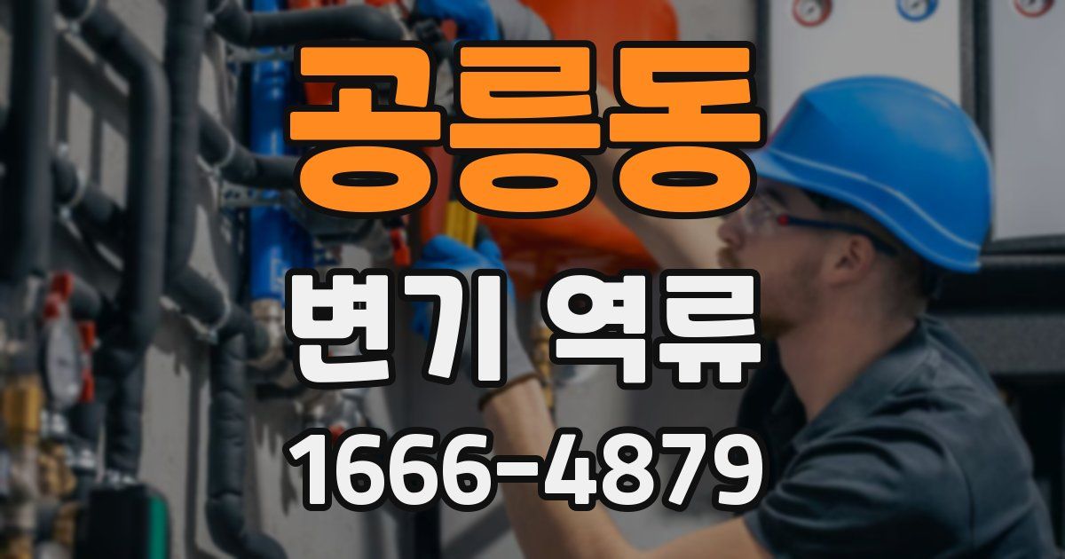 공릉동 변기 역류