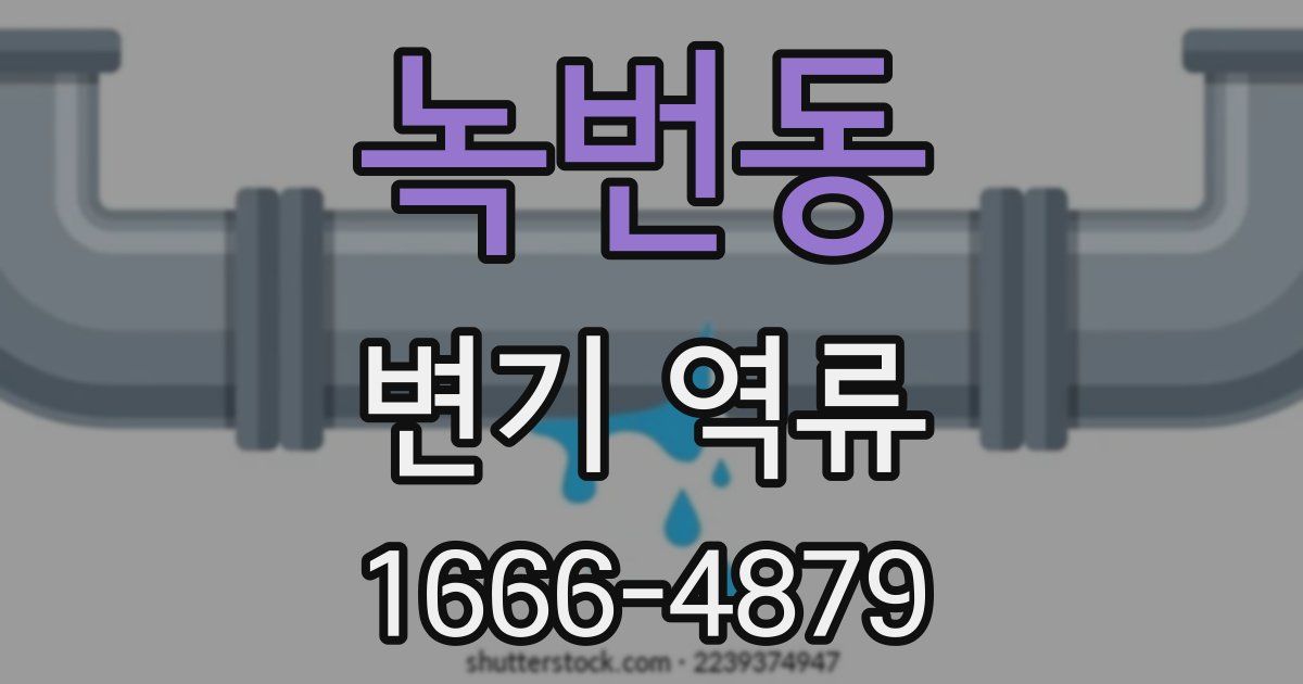 녹번동 변기 역류