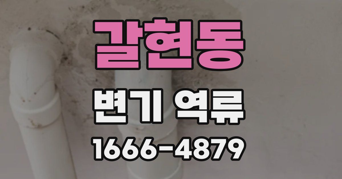 갈현동 변기 역류