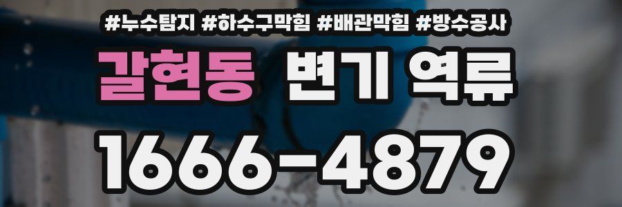 갈현동 변기 역류
