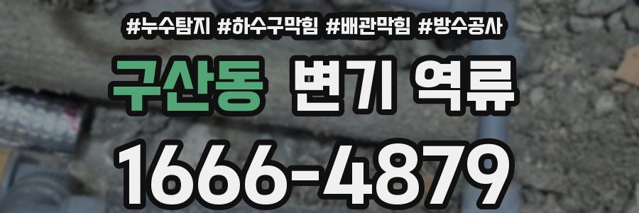 구산동 변기 역류