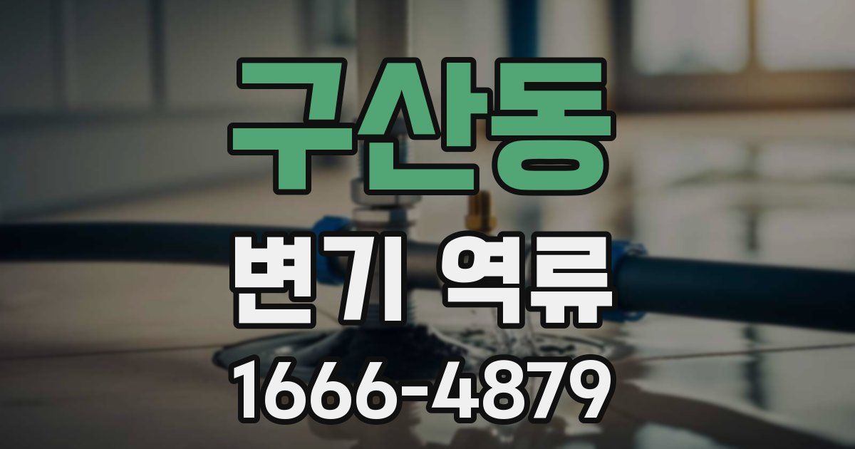 구산동 변기 역류