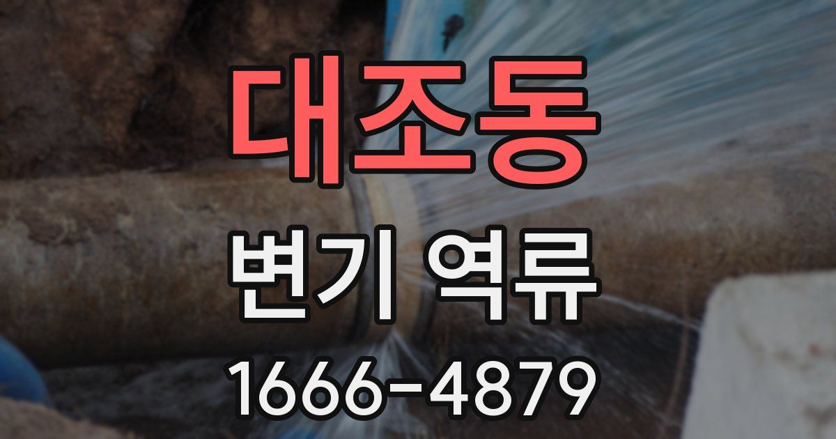대조동 변기 역류