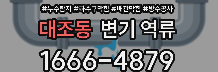 대조동 변기 역류