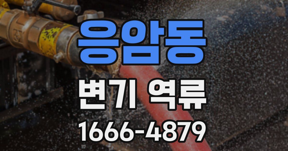 응암동 변기 역류