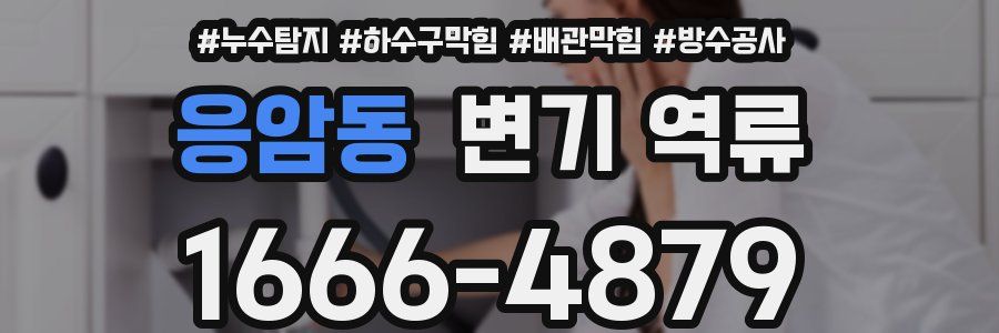 응암동 변기 역류