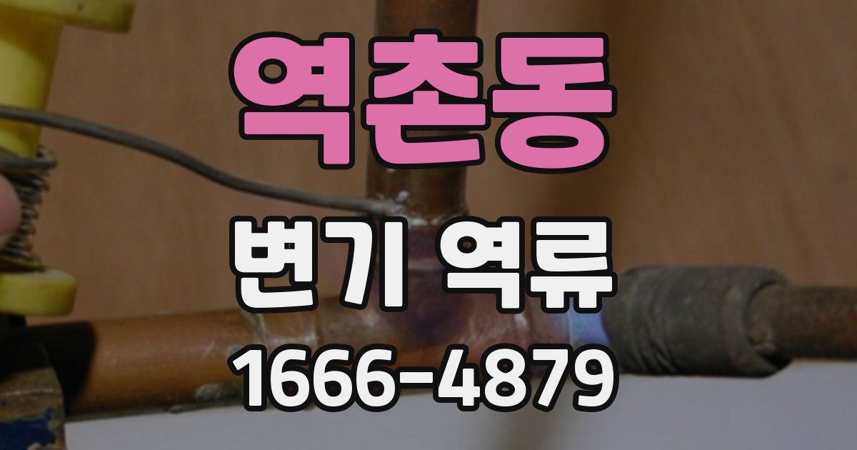 역촌동 변기 역류