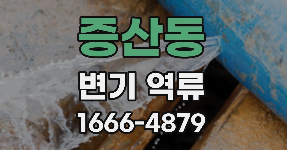 증산동 변기 역류