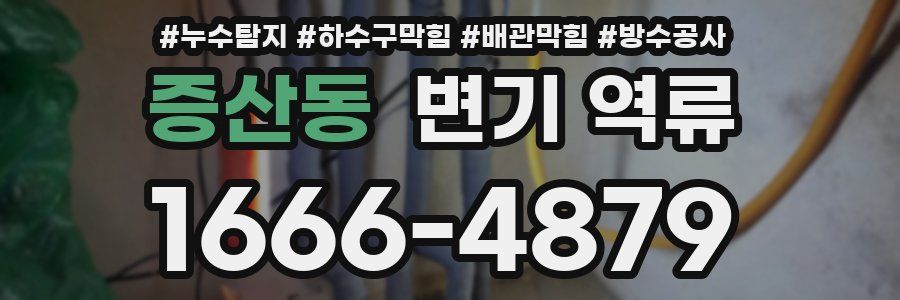 증산동 변기 역류