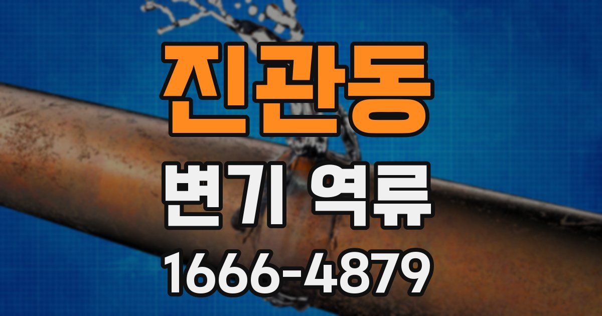 진관동 변기 역류
