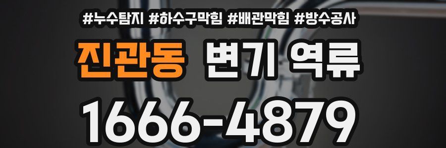 진관동 변기 역류