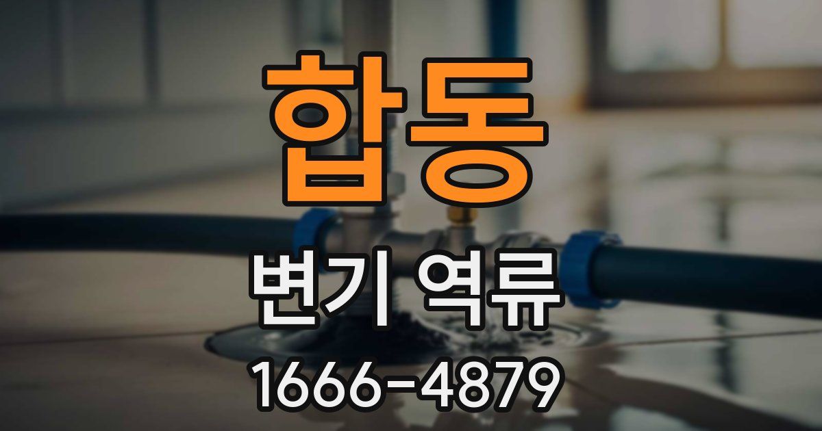 합동 변기 역류