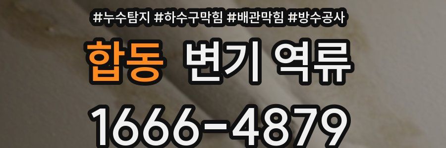 합동 변기 역류