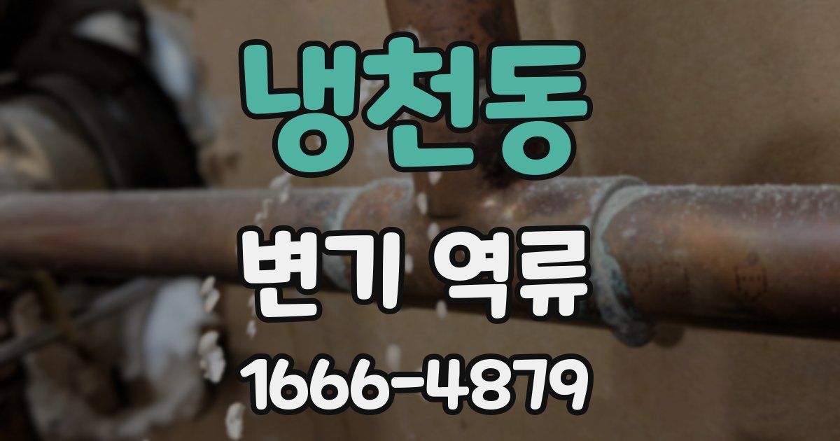 냉천동 변기 역류