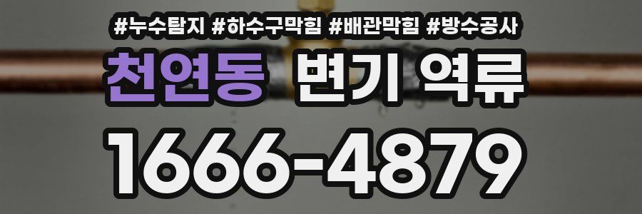 천연동 변기 역류