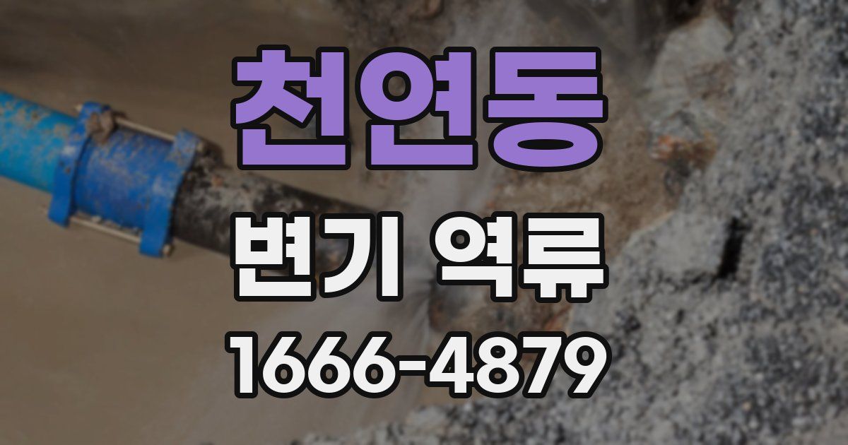 천연동 변기 역류