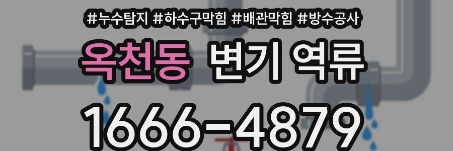 옥천동 변기 역류