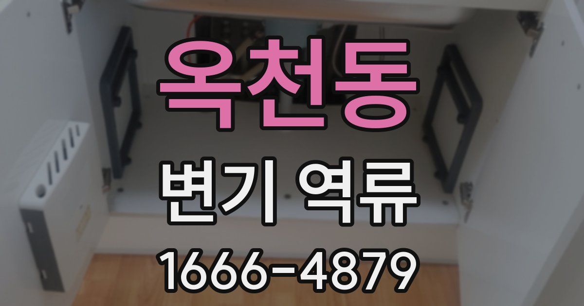 옥천동 변기 역류