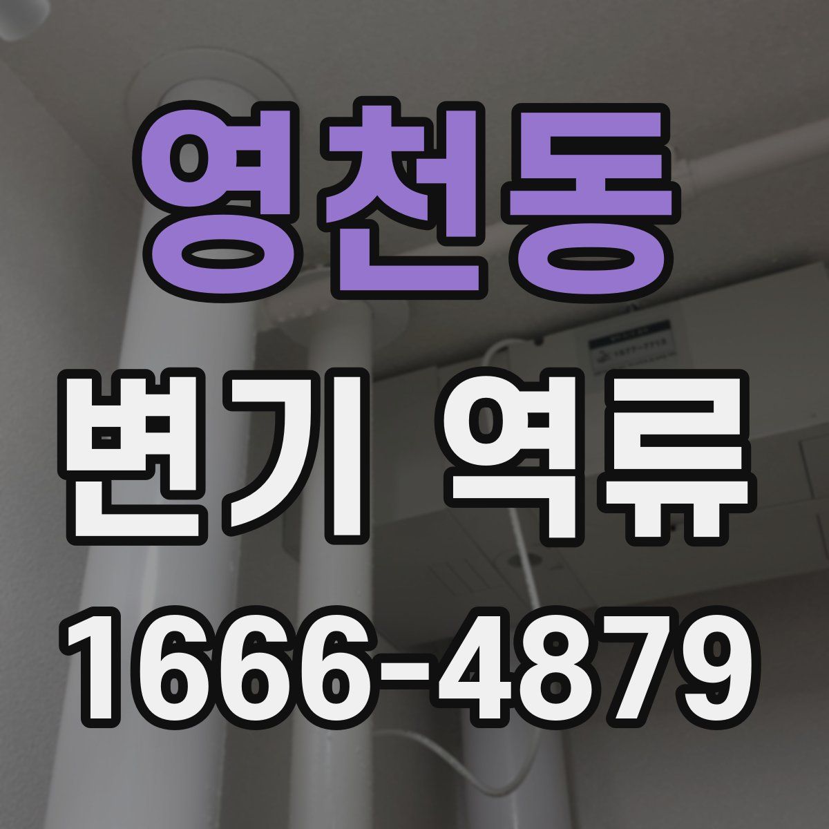 영천동 변기 역류