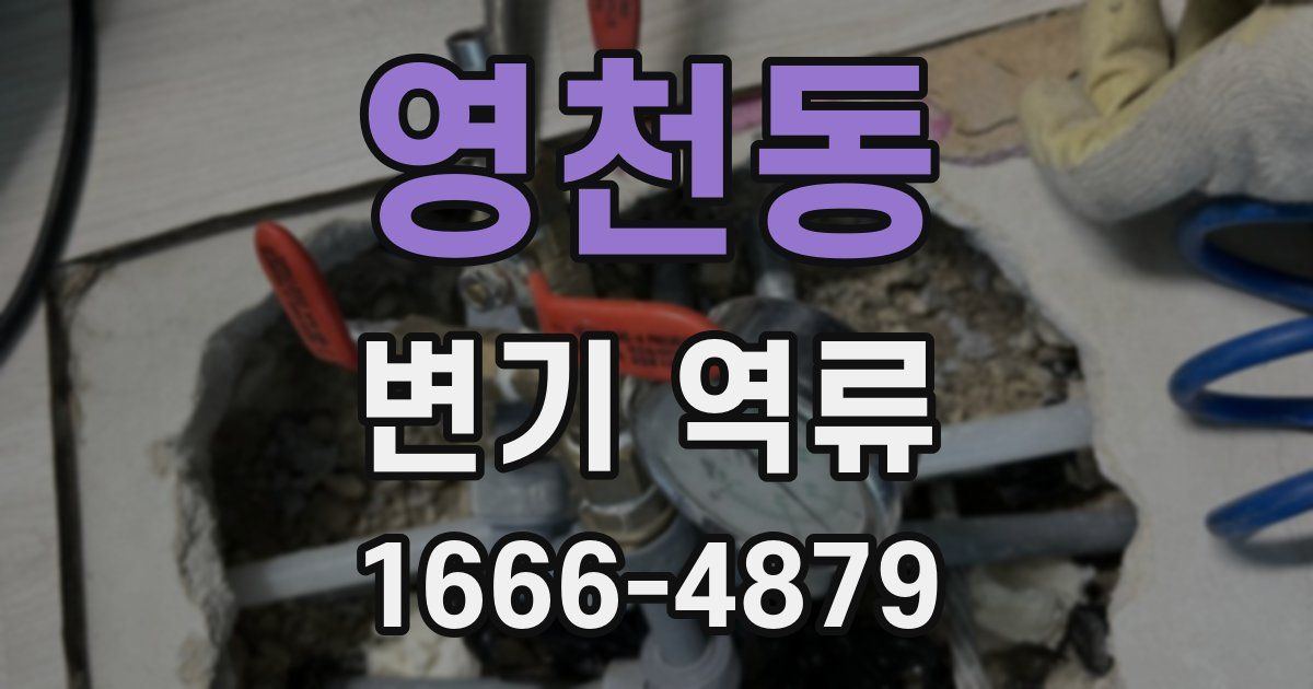 영천동 변기 역류