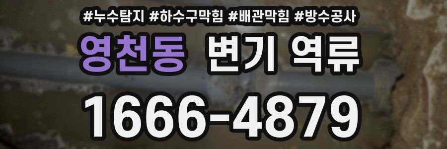 영천동 변기 역류