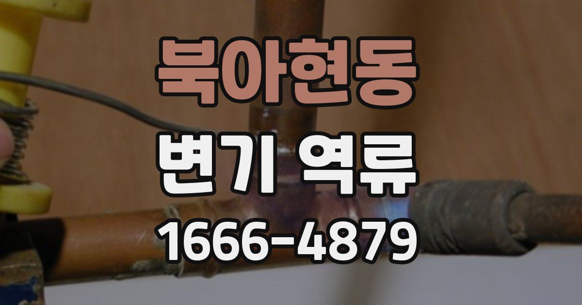 북아현동 변기 역류