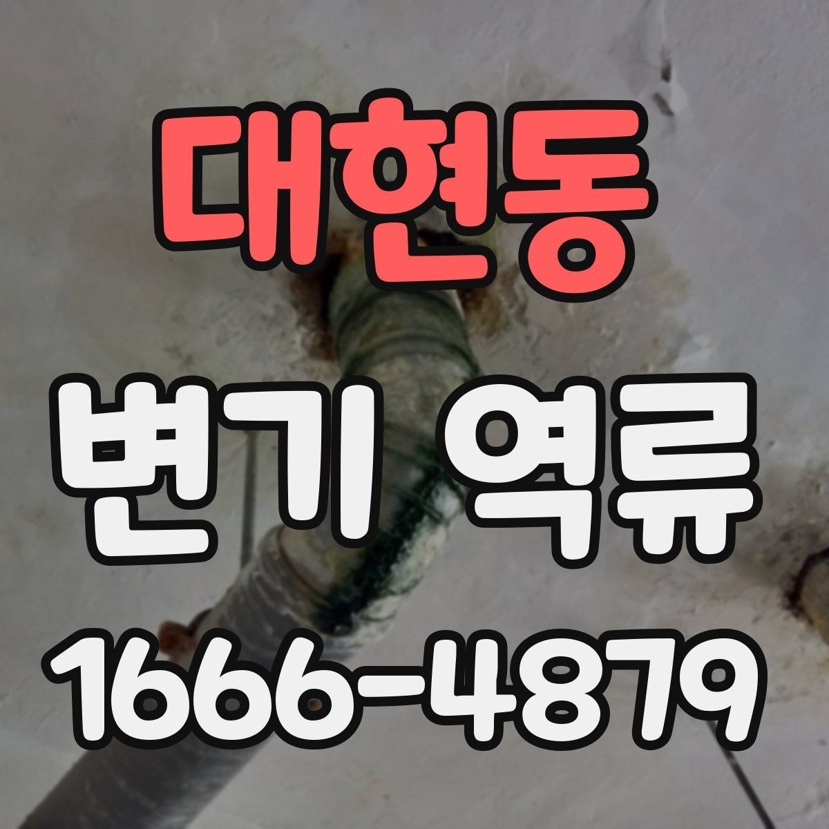 대현동 변기 역류