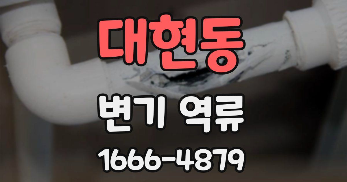 대현동 변기 역류